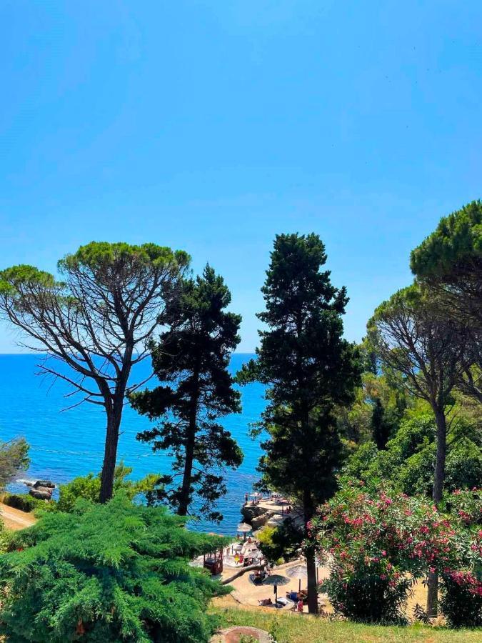 Corpus A - Hotel Albatros Ulcinj Zewnętrze zdjęcie