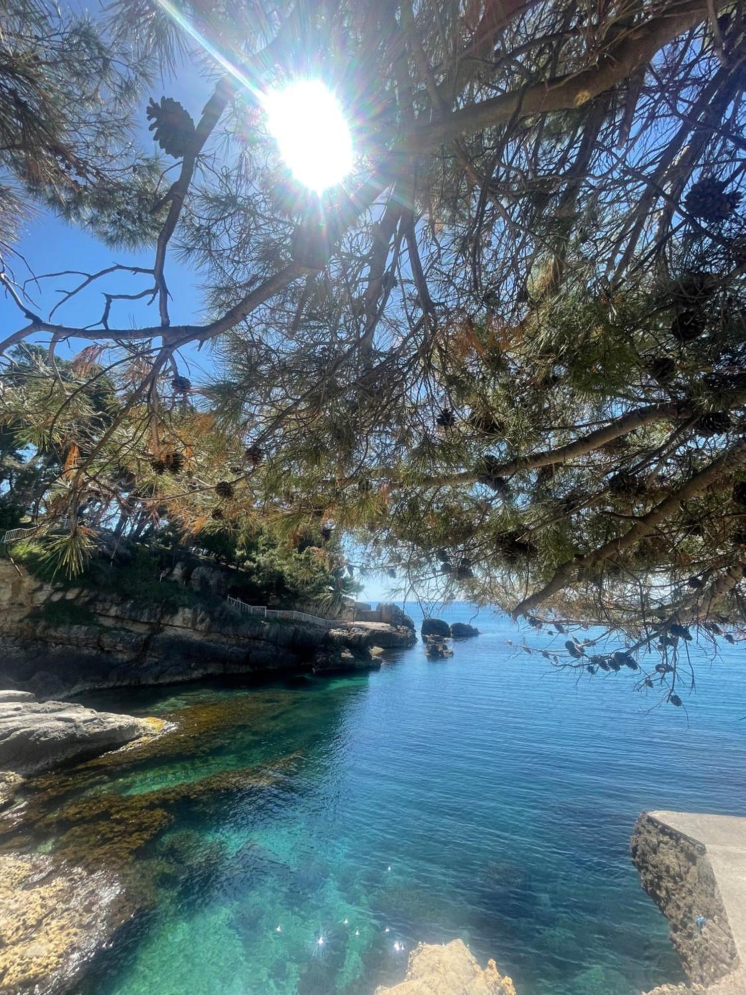 Corpus A - Hotel Albatros Ulcinj Zewnętrze zdjęcie